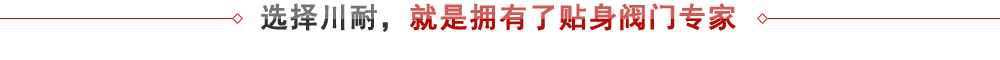 上海川耐 - 專業(yè)閥門生產(chǎn)廠家